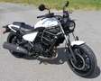 Kawasaki Eliminator 500 Wit - thumbnail 2