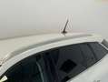 Renault Megane ST BUSINESS DCI Blanco - thumbnail 35