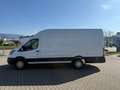 Ford Transit 2.0 TDCi L4H3 350 Trend Navi*AHK*ShZ*GJR Alb - thumbnail 2