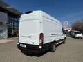 Ford Transit 2.0 TDCi L4H3 350 Trend Navi*AHK*ShZ*GJR Alb - thumbnail 5