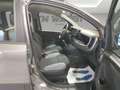 Fiat Panda 1.0 firefly hybrid (Red) s Gris - thumbnail 13