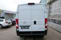Opel Movano Movano Kastenwagen 35+ L2H2 BlueHDi 140 Weiß - thumbnail 5