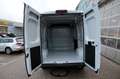 Opel Movano Movano Kastenwagen 35+ L2H2 BlueHDi 140 Weiß - thumbnail 6