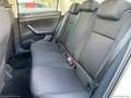 Volkswagen Polo 1.6 TDI 95CV 5p Comfortline BMT Wit - thumbnail 9