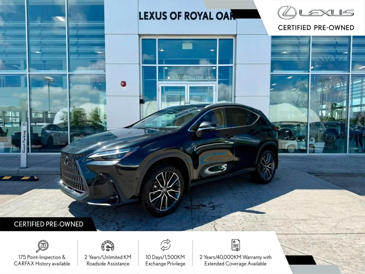 2022 Lexus NX