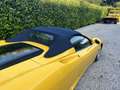 Ferrari 360 Spider F1 bellissima pari al nuovo Giallo - thumbnail 3