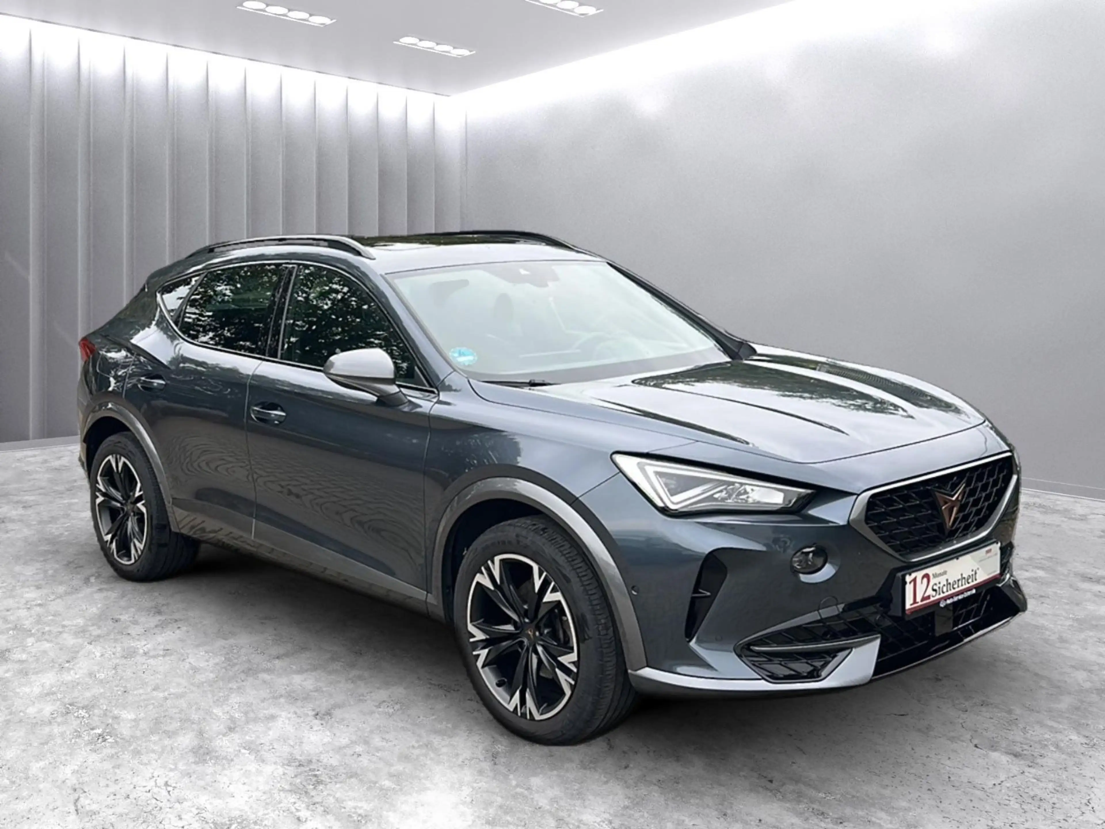 CUPRA Formentor e-Hybrid *1HD/Pano/ACC/Side/Lane/LED*