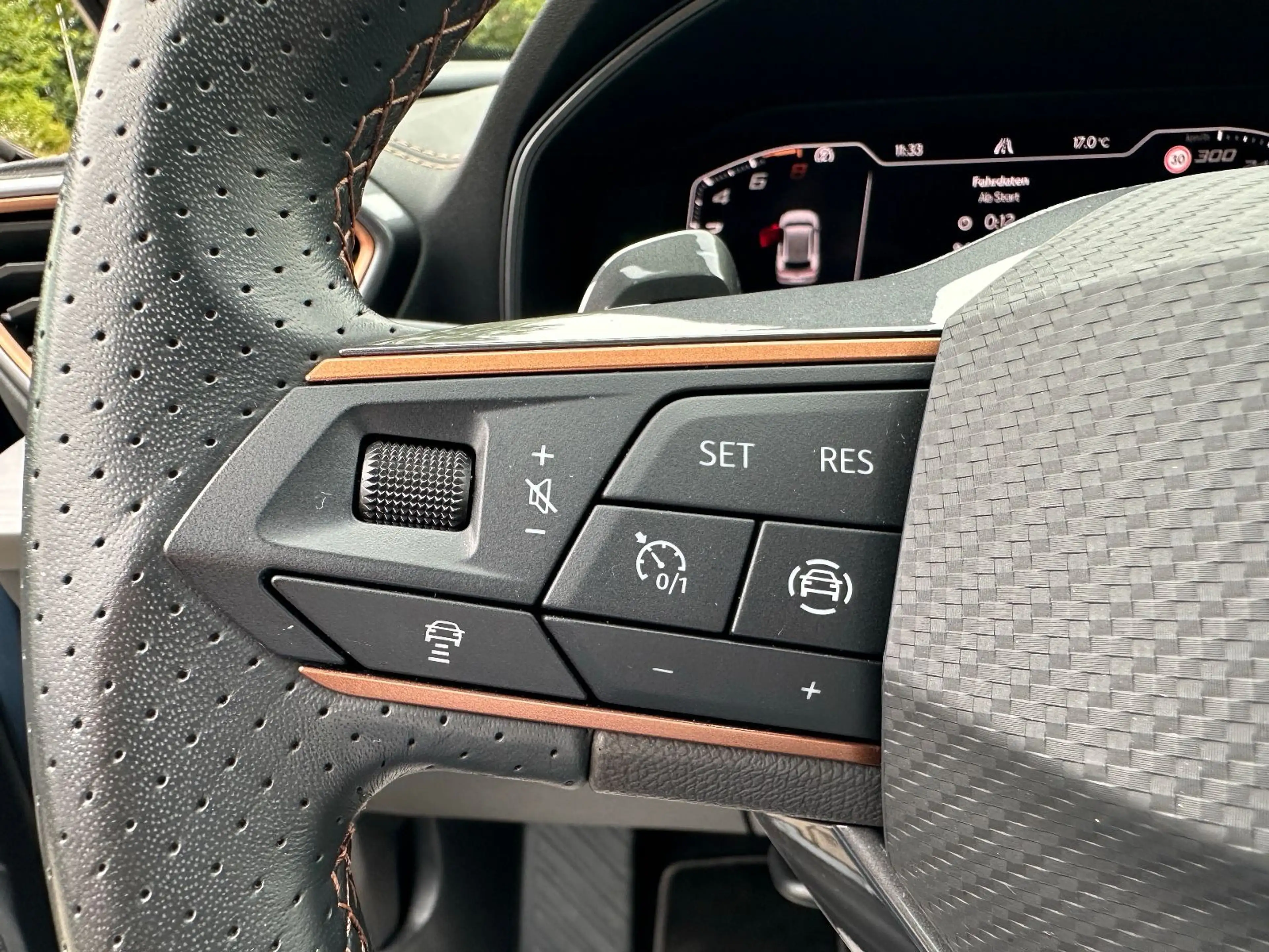 CUPRA Formentor e-Hybrid *1HD/Pano/ACC/Side/Lane/LED* — photo 14