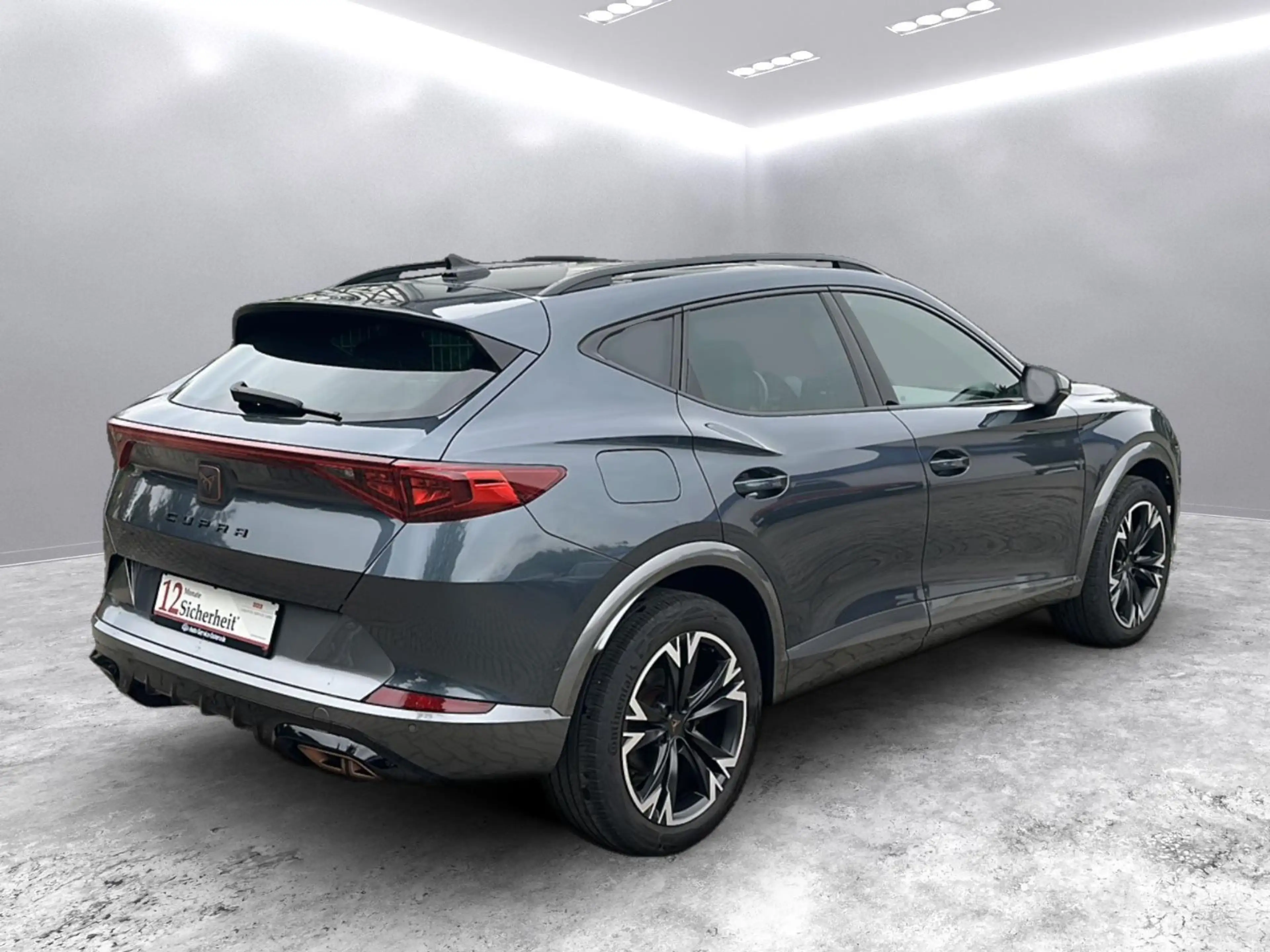 CUPRA Formentor e-Hybrid *1HD/Pano/ACC/Side/Lane/LED* — photo 6