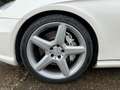 Mercedes-Benz CLS 55 AMG V8 Kompressor 476PK Full option 149dkm Weiß - thumbnail 16