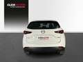 Mazda CX-5 2.0 Skyactiv-G Evolution 2WD Aut. 121kW Blanc - thumbnail 6