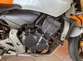 Honda Hornet Hornet 600 my07 Bianco - thumbnail 8