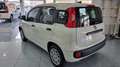 Fiat Panda 1.0 FireFly S&S Hybrid 5Posti Wit - thumbnail 3