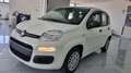 Fiat Panda 1.0 FireFly S&S Hybrid 5Posti Wit - thumbnail 1