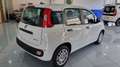 Fiat Panda 1.0 FireFly S&S Hybrid 5Posti Wit - thumbnail 4