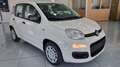 Fiat Panda 1.0 FireFly S&S Hybrid 5Posti Wit - thumbnail 2