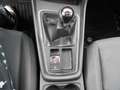 SEAT Leon Leon ST 1.4 tgi Business High 110cv Bianco - thumbnail 14