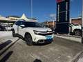 Citroen C5 Aircross BlueHDi 130 S&S Shine Weiß - thumbnail 1