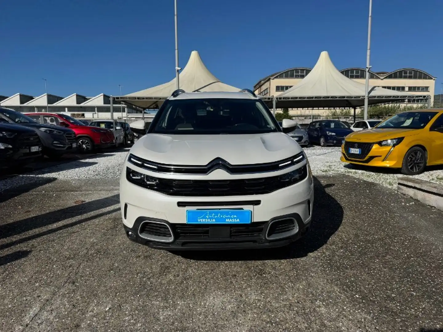 Citroen C5 Aircross BlueHDi 130 S&S Shine Bianco - 2