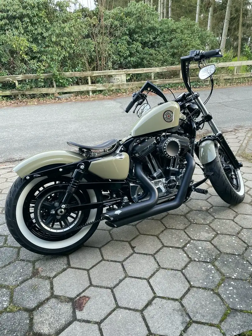 Harley-Davidson Sportster Forty Eight Special - 2
