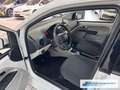 SEAT Mii Style 1.0 EU6d-T SHZ Berganfahrass. Winterpaket GA Weiß - thumbnail 12