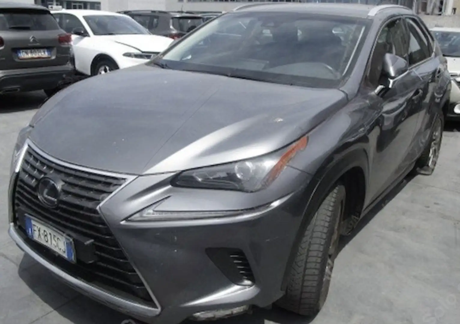 Lexus NX 300h Business 4wd autom. Argento - 2