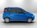 Fiat Panda 1.0 70cv Hybrid Panda Bleu - thumbnail 4
