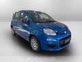 Fiat Panda 1.0 70cv Hybrid Panda Bleu - thumbnail 3