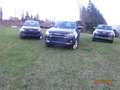 Isuzu D-Max NOVABEFREIT, Singel-Space u.Doppel-Cab, Grau - thumbnail 3
