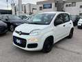 Fiat Panda 1.0 FireFly PROMO ! Hybrid NEOPATENTATI Bianco - thumbnail 3