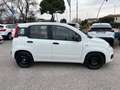 Fiat Panda 1.0 FireFly PROMO ! Hybrid NEOPATENTATI Bianco - thumbnail 10