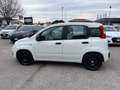 Fiat Panda 1.0 FireFly PROMO ! Hybrid NEOPATENTATI Bianco - thumbnail 12