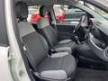 Fiat Panda 1.0 FireFly PROMO ! Hybrid NEOPATENTATI Bianco - thumbnail 6