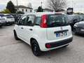 Fiat Panda 1.0 FireFly PROMO ! Hybrid NEOPATENTATI Bianco - thumbnail 4
