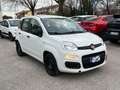 Fiat Panda 1.0 FireFly PROMO ! Hybrid NEOPATENTATI Bianco - thumbnail 1