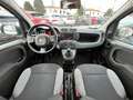 Fiat Panda 1.0 FireFly PROMO ! Hybrid NEOPATENTATI Bianco - thumbnail 15