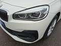 BMW 218 Advantage Aut. Navi PDC LED Weiß - thumbnail 13