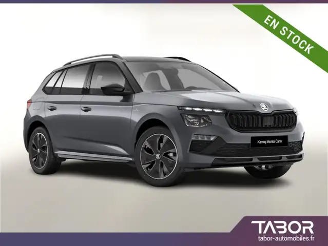 Skoda Kamiq DSG Monte Pano Matrix Kam SHZ Kessy