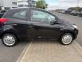 Ford Ka/Ka+ Titanium  KLIMA / SERVO / TÜV NEU Schwarz - thumbnail 6