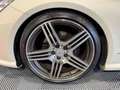 Mercedes-Benz E 350 COUPE V6 350 CDI BlueEfficiency Executive AMG Blanco - thumbnail 10