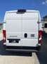 Fiat Ducato furgone - thumbnail 3