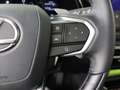 Lexus RX 450h 450h+ Plug-in Hybrid President Line | Mark Levinso Groen - thumbnail 13