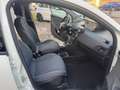 Lancia Ypsilon 1.0 FireFly 5 porte S&S Hybrid Ecochic Silver Blanc - thumbnail 15
