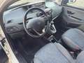 Lancia Ypsilon 1.0 FireFly 5 porte S&S Hybrid Ecochic Silver Blanc - thumbnail 5