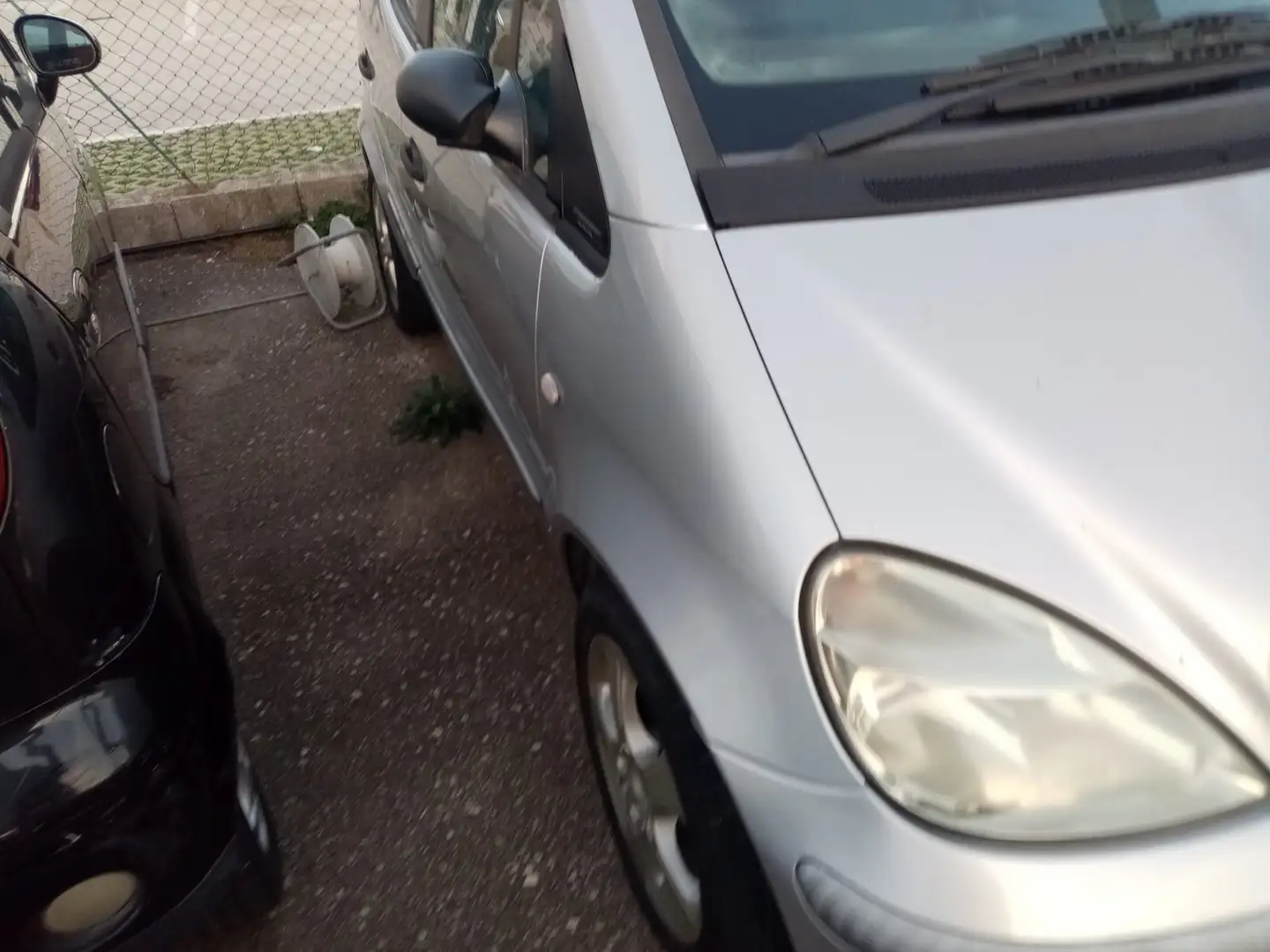 Mercedes-Benz 170 Argento - 2