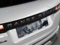 Land Rover Range Rover Evoque Icon Dynamic 1.5 269hp A8 - thumbnail 14