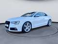 Audi S5 3.0 TFSI*Quattro*Xenon*Leder*MMI*Sternenhimmel* Bianco - thumbnail 2