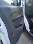 Ford Transit Variobus 2,0 EcoBlue L3H2 350 Trend Weiß - thumbnail 16