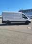 Ford Transit Variobus 2,0 EcoBlue L3H2 350 Trend Weiß - thumbnail 6