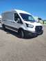 Ford Transit Variobus 2,0 EcoBlue L3H2 350 Trend Weiß - thumbnail 5